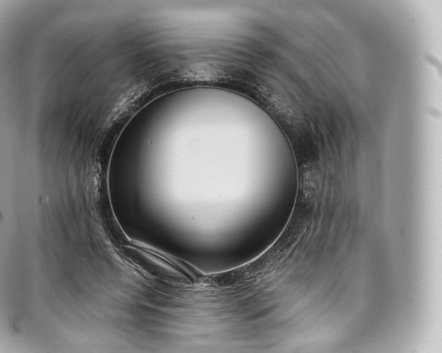 X0000097300544200802221338