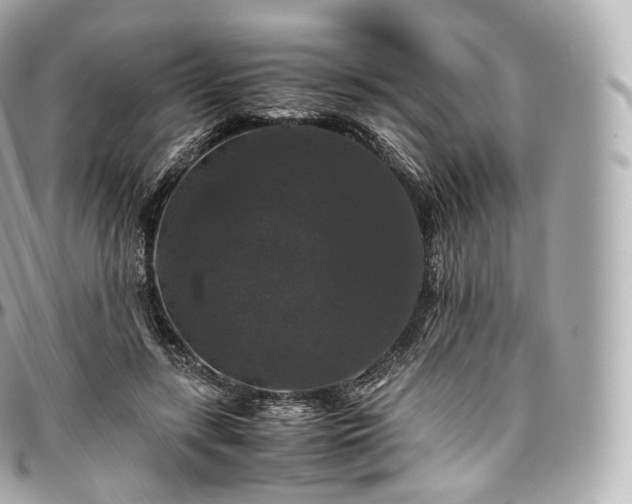 X0000097300547200802221338