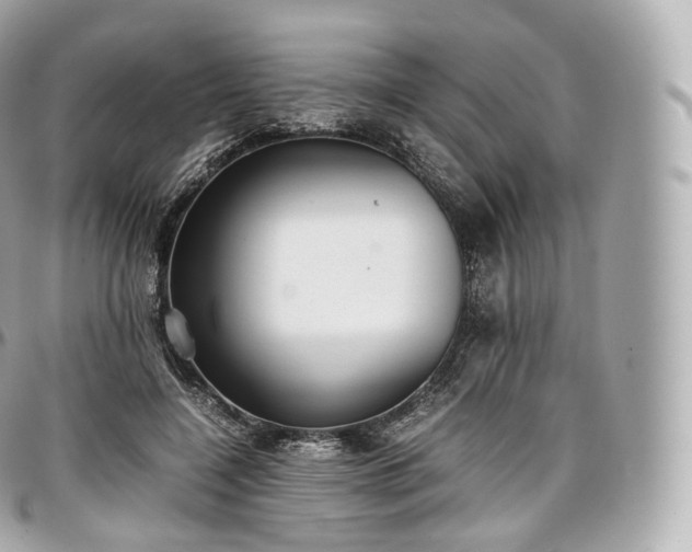 X0000097300548200802221338