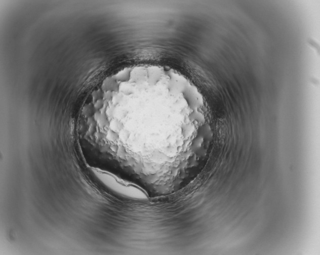 X0000097300550200802221338