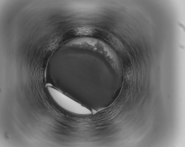 X0000097300551200802221338