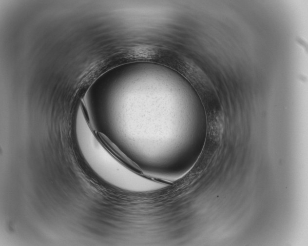 X0000097300552200802221338