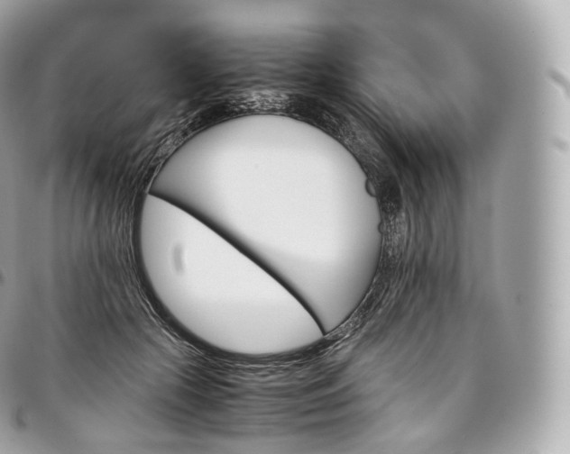 X0000097300553200802221338