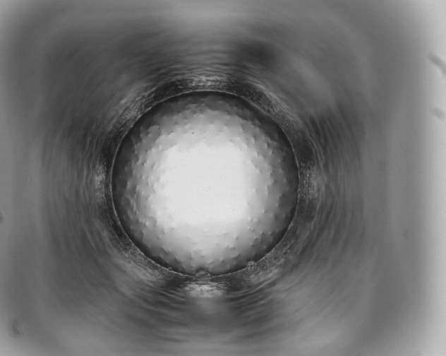 X0000097300557200802221338