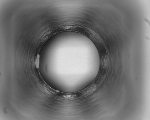 X0000097300558200802221338