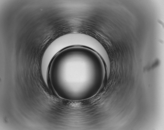 X0000097300560200802221338