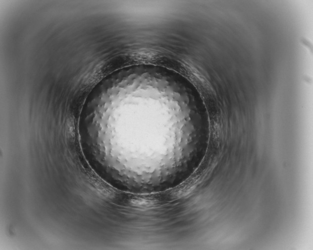 X0000097300561200802221338