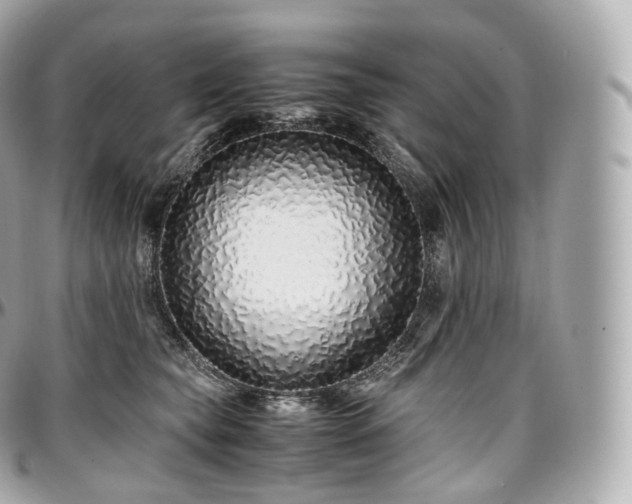 X0000097300565200802221338