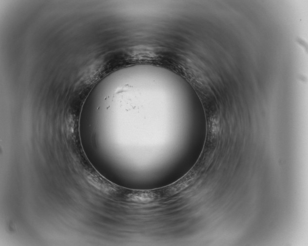 X0000097300567200802221338