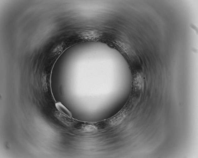 X0000097300572200802221338