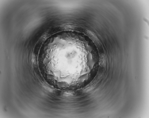 X0000097300573200802221338