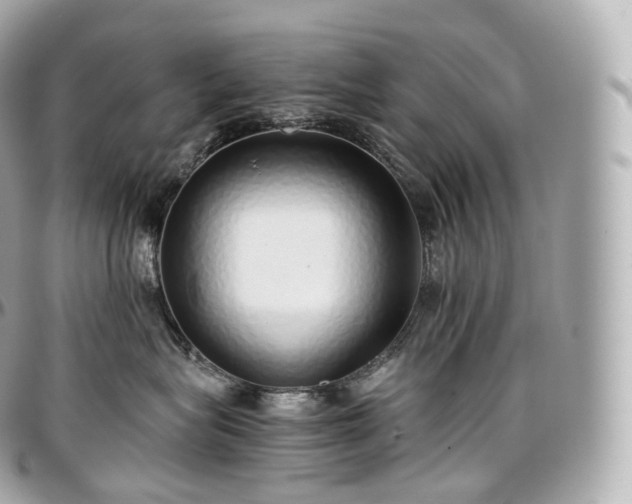 X0000097300575200802221338