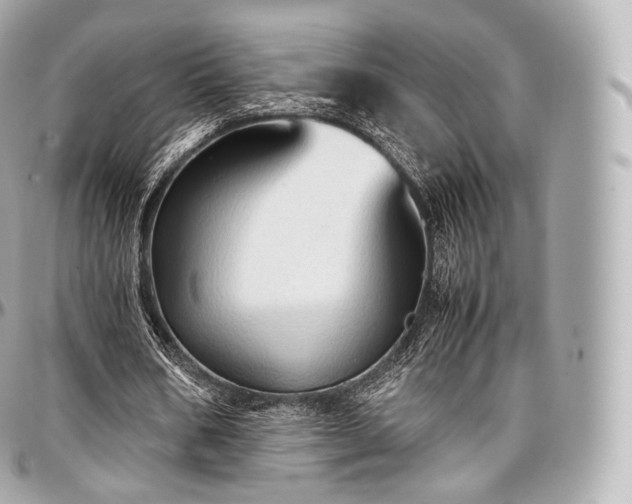 X0000097300578200802221337