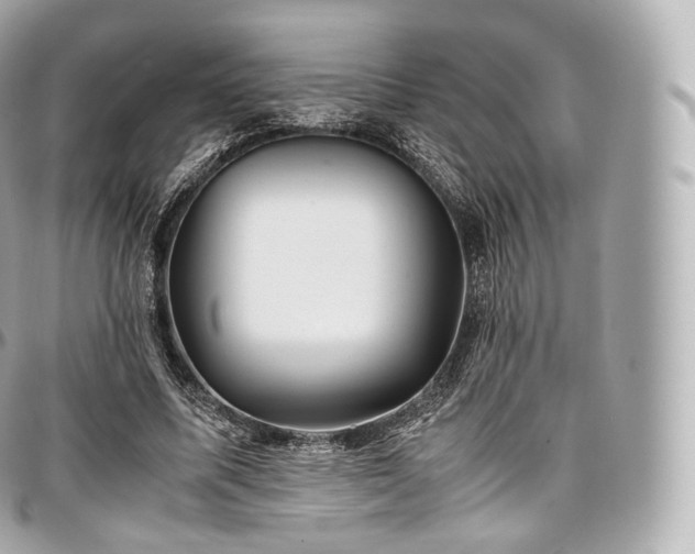 X0000097300587200802221337