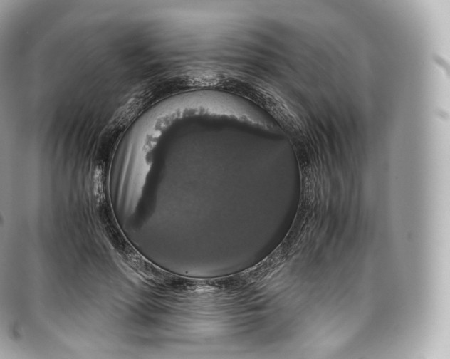 X0000097300598200802221337