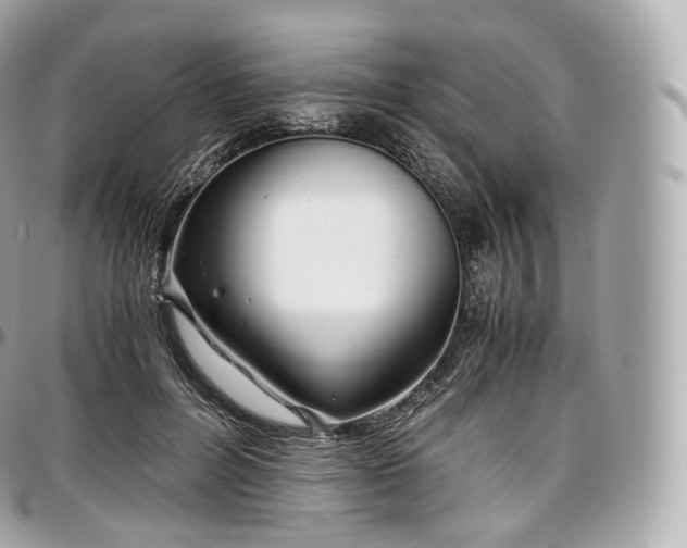 X0000097300600200802221337