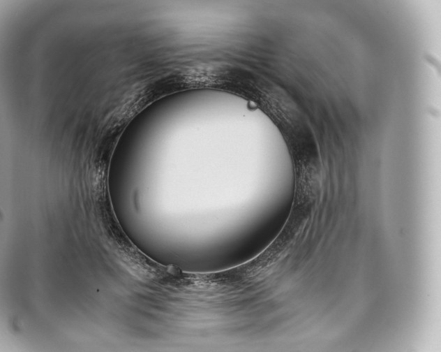 X0000097300601200802221337