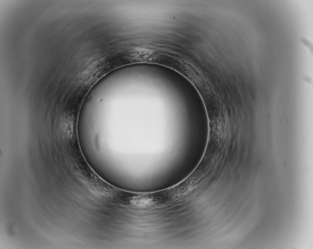 X0000097300602200802221337