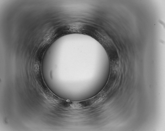 X0000097300603200802221337