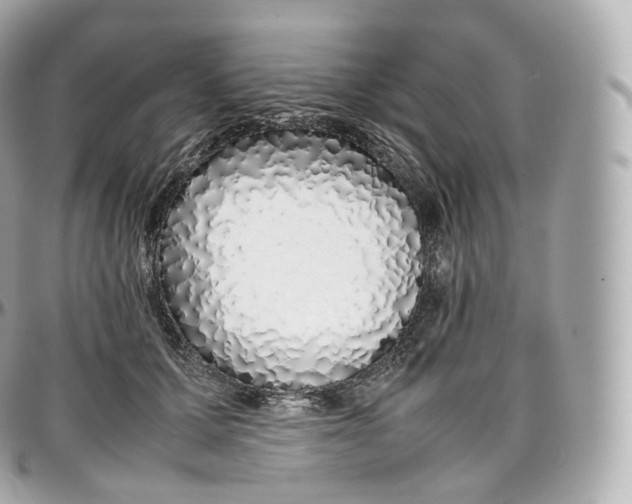 X0000097300607200802221337