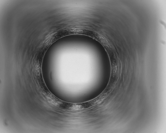 X0000097300609200802221337