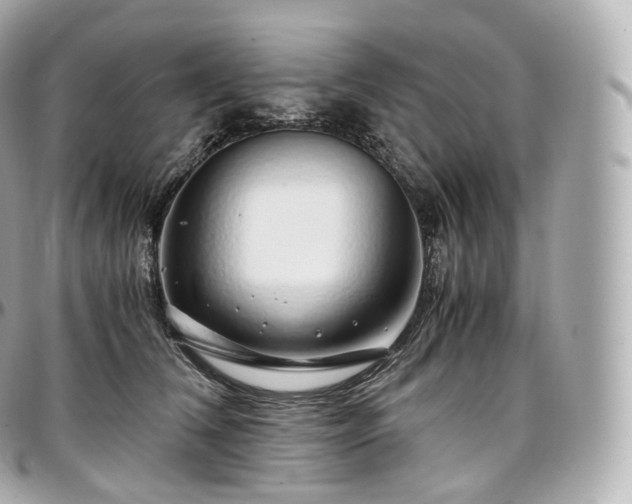 X0000097300612200802221337