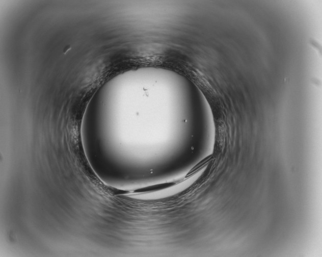 X0000097300613200802221337
