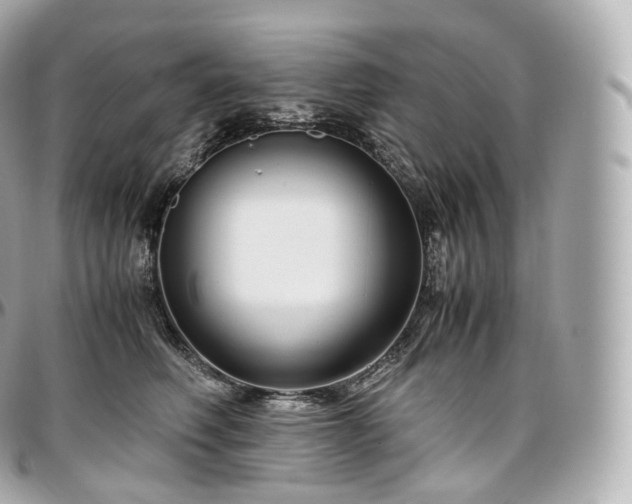 X0000097300614200802221337