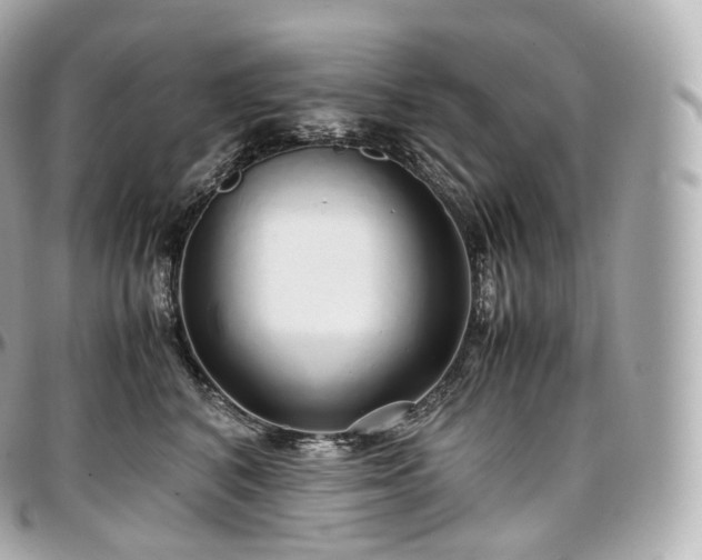X0000097300616200802221337