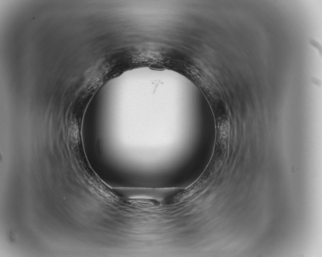 X0000097300617200802221337