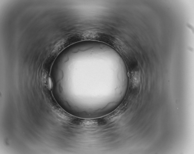 X0000097300619200802221337
