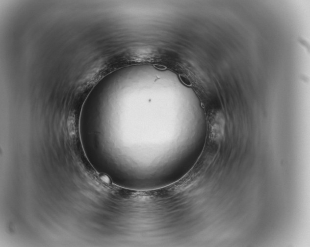 X0000097300620200802221337