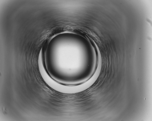 X0000097300621200802221337