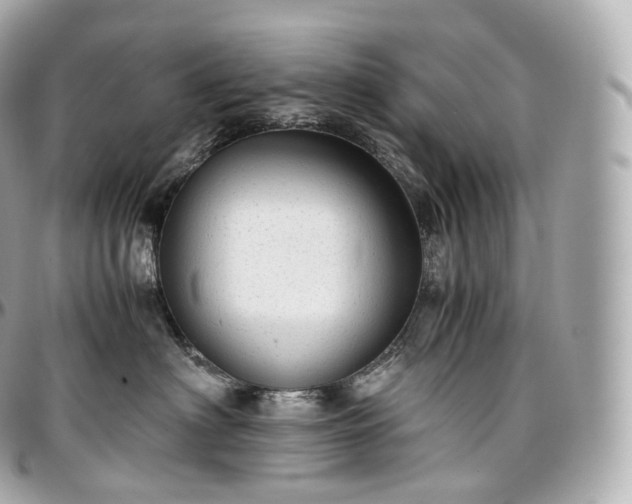 X0000097300622200802221337