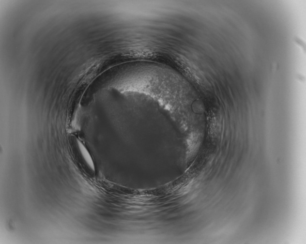 X0000097300643200802221336