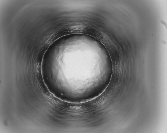 X0000097300649200802221336
