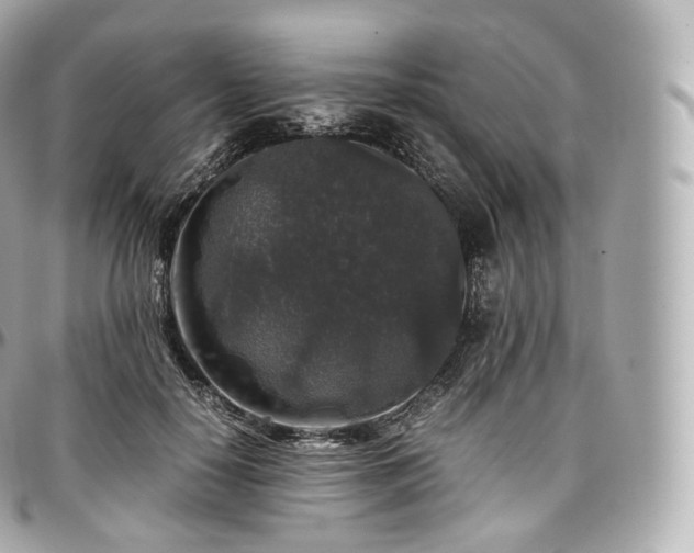 X0000097300650200802221336