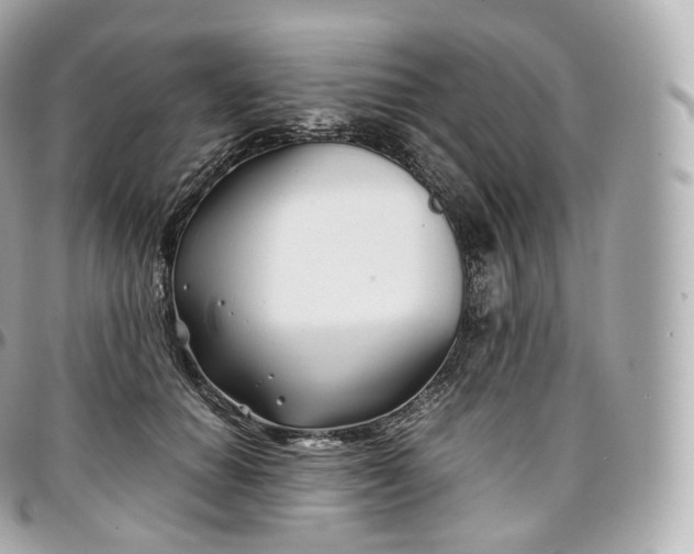 X0000097300654200802221337