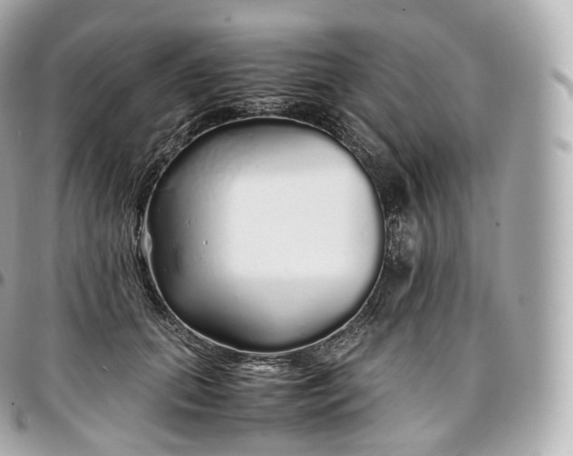 X0000097300655200802221337