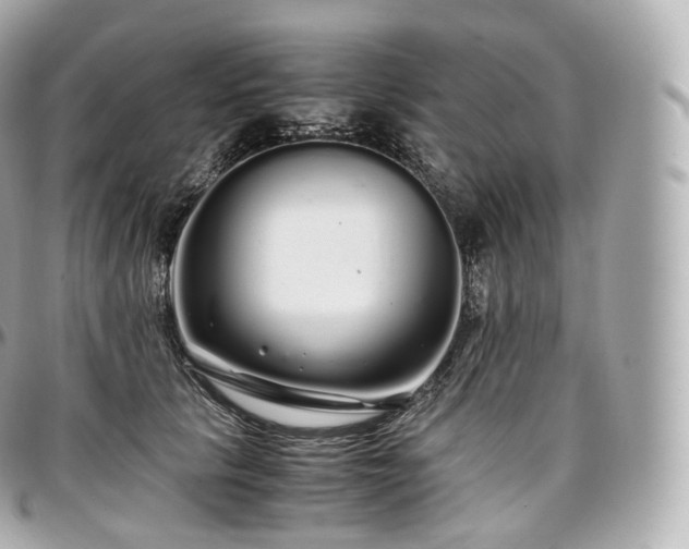 X0000097300657200802221337