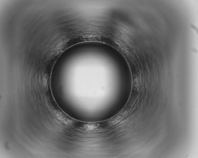 X0000097300662200802221337