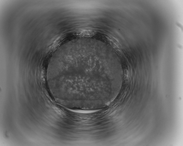 X0000097300663200802221337