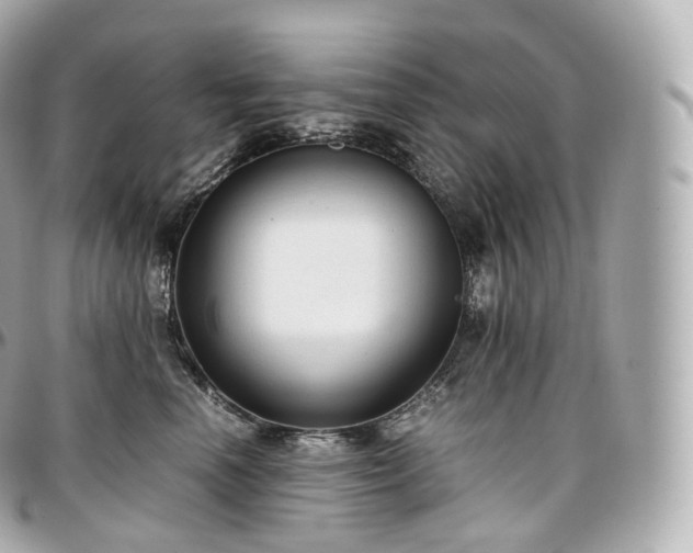 X0000097300666200802221337