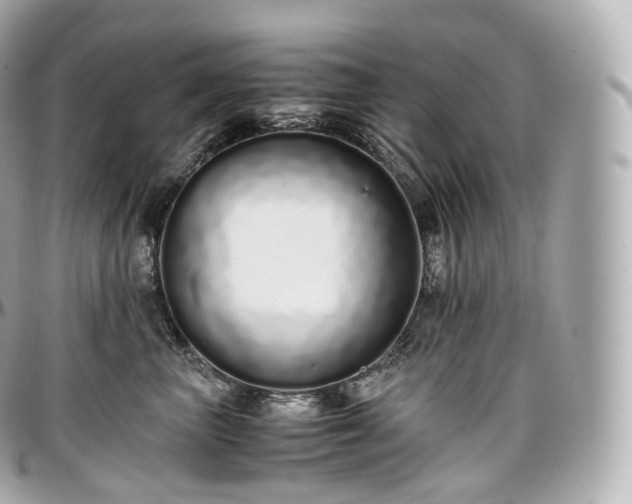 X0000097300667200802221337