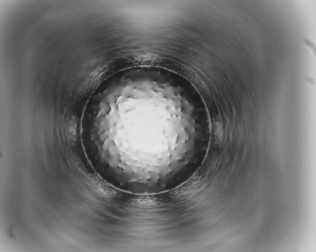 X0000097300668200802221337