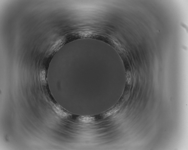 X0000097300670200802221337