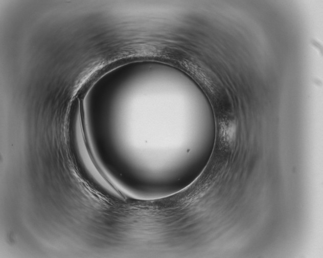 X0000097300676200802221336