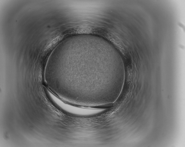 X0000097300681200802221336