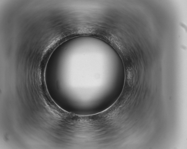 X0000097300684200802221336