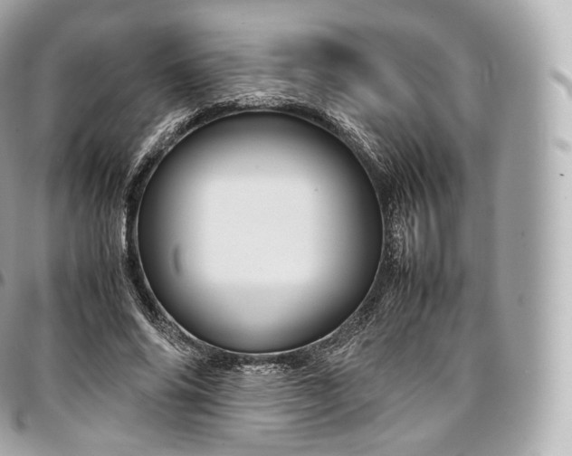 X0000097300686200802221336